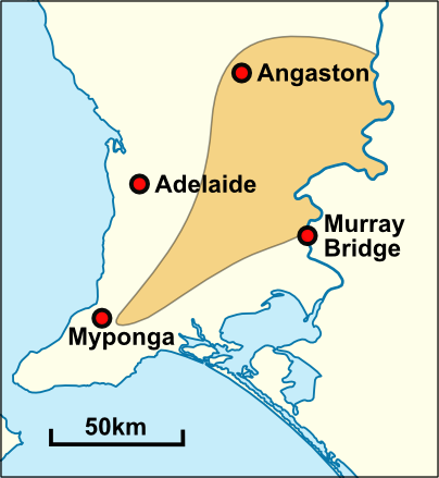 Peramangk People | Prospect Hill Bushland Group